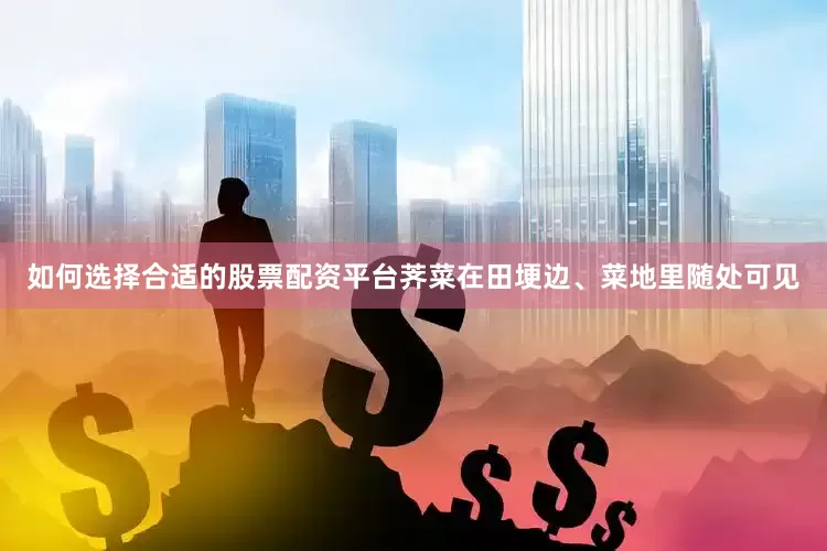 如何选择合适的股票配资平台荠菜在田埂边、菜地里随处可见