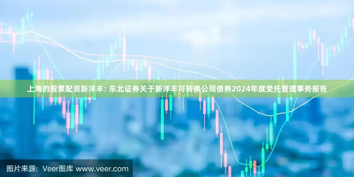 上海的股票配资新洋丰: 东北证券关于新洋丰可转换公司债券2024年度受托管理事务报告