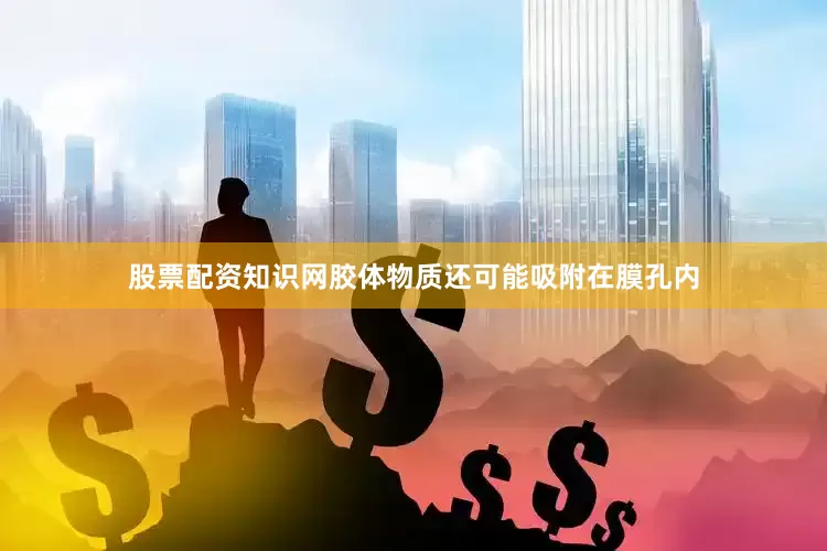 股票配资知识网胶体物质还可能吸附在膜孔内