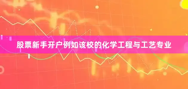 股票新手开户例如该校的化学工程与工艺专业
