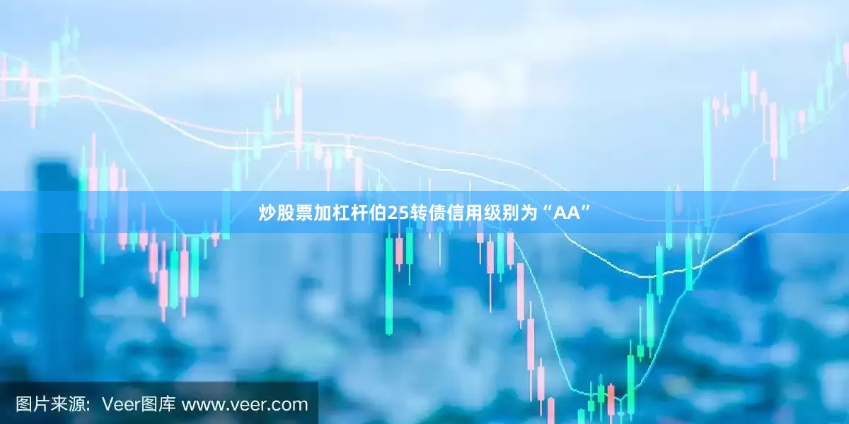炒股票加杠杆伯25转债信用级别为“AA”